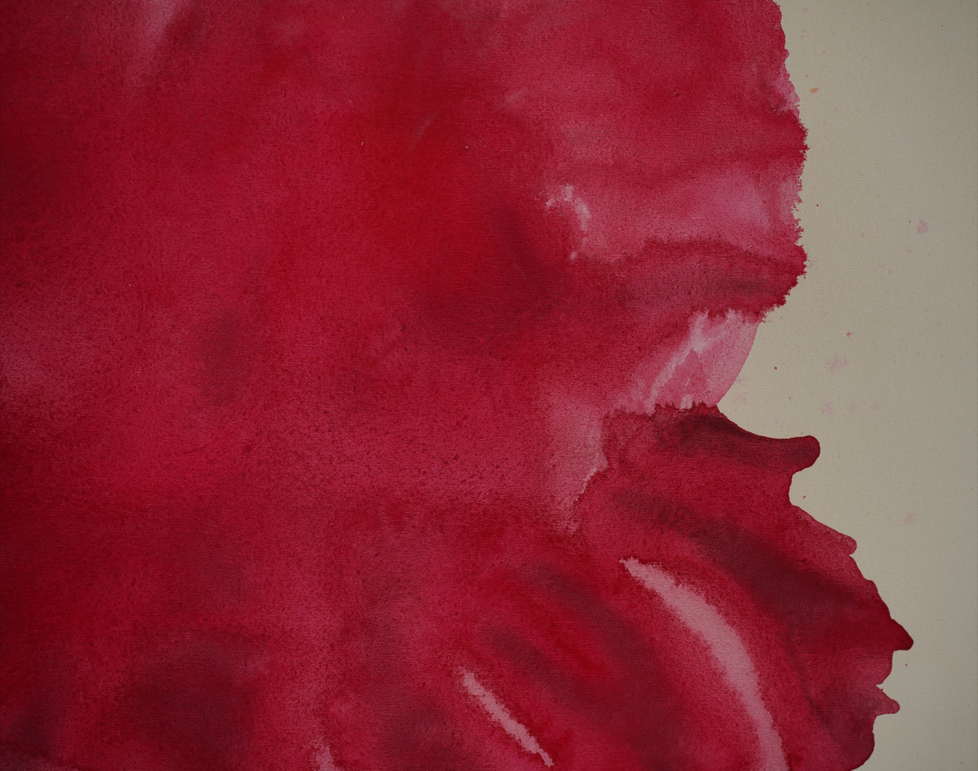 Rouge Allure — detail (close-up)